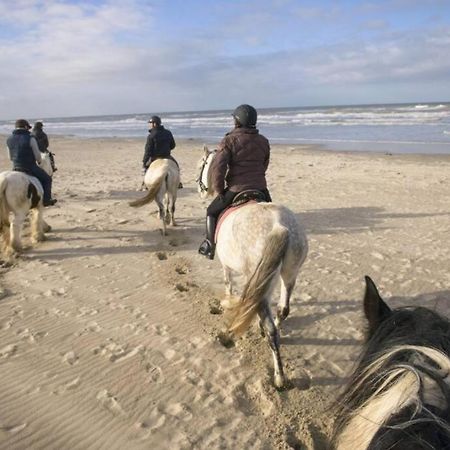 Maison Independante De Vacances Hardelot Plage Neufchâtel-Hardelot Buitenkant foto