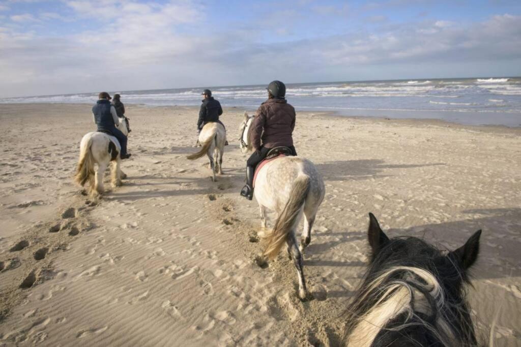 Maison Independante De Vacances Hardelot Plage Neufchâtel-Hardelot Buitenkant foto
